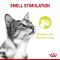 Royal Canin SENSORY™ SMELL Chunks in Jelly
