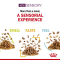 Royal Canin SENSORY™ SMELL Chunks in Jelly