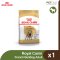 Royal Canin French Bulldog Adult - สุนัขโต พันธุ์เฟรนช์ บูลด็อก