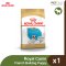Royal Canin French Bulldog Puppy