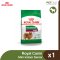 Royal Canin Dog Mini Indoor Senior - สุนัขสูงวัย พันธุ์เล็ก เลี้ยงในบ้าน