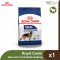 Royal Canin Maxi Adult - สำหรับสุนัขโต พันธุ์ใหญ่