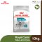 Royal Canin Dog Maxi Joint Care - สำหรับสุนัขโตพันธุ์ใหญ่ ดูแลข้อต่อ