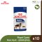 Royal Canin Maxi Adult Chunks In Gravy - อาหารเปียกสุนัขโตพันธุ์ใหญ่