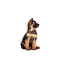 Royal Canin Maxi Puppy Chunks In Gravy