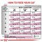 Royal Canin Veterinary Cat - Renal