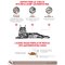 Royal Canin Vet Cat Gastrointestinal - อาหารเปียกแมวสูตรดูแลกะเพราะปัสสาวะ