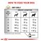 Royal Canin Veterinary Dog - Urinary S/O Small Dogs