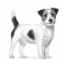 Royal Canin Veterinary Mature Small Dogs