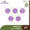 Wellness Core Adult Dog - Original