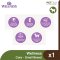 Wellness Core Adult - Small Breed