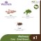 Wellness Core Adult - Small Breed