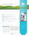 Iskhan Grain-Free Cat Adult - Adult Cat Food Grain-Free Formula 2.5kg.