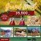 GRAND SEOUL 5D3N