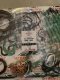 GASKET SET DEUTZ 1011 F3L1011 013359201 02929853 NET GASKET