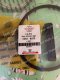 GASKET SET ONLY DEUTZ F3L912 02929656 02928973 NET GASKET