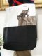 กระเป๋าสะพาย ทูโทน ขาว/ดำ ลายแมวดำ (ขนาดกลาง)