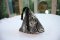 Triangle Coin Purse