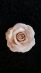 Fragrant Clay Rose - Beige Color