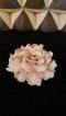 Fragrant Clay Carnation - Beige Color