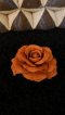 Fragrant Clay Rose - Brown Color