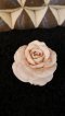 Fragrant Clay Rose - Beige Color