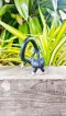 Long Black Cat