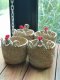 Water hyacinth wicker work - Tissue basket chicken