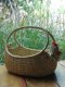 Water hyacinth wicker work - chicken basket with handle 12 inches