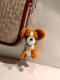 Chihuahua keychain (Dark Brown)