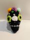 Black skull keychain with green eye