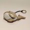 Gray Whale Keychain