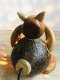 Lamp from coconut shell - Pig