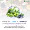 Lutein 10 mg plus Bilberry