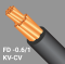 สายไฟ FD-0.6/1 KV-CV : 600/1000V 90C