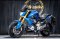 BMW G310R