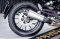Benelli Leoncino 500