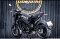 Benelli Leoncino 500