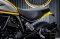 Ducati Scrambler Icon
