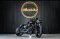 Harley Davidson Sportster 1200 Custom  Mileage 8,xxx Kilometer