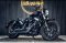 Harley Davidson Sportster  Forty-eight