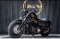 Harley Davidson Forty-eight