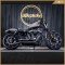 Harley Davidson Iron883