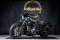Harley Davidson Nightster