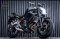 Kawasaki ER-6N