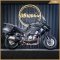 Kawasaki Versys 1000