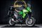 Kawasaki Versys-X 300  ABS Tourer