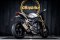 Triumph SPEED TRIPLE 1200 RS