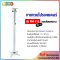 ขาแขวนโปรเจคเตอร์ BDEE รุ่น PM-110 (110-197 ซ.ม.) แบบติดเพดาน