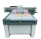 Digital UV Flatbed Printer